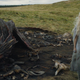 Illustration for article titled How to Fix What’s Wrong With iGame of Thrones/i